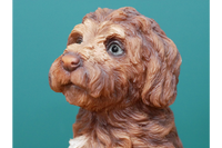 Beautiful Brown Cockapoo Figurine