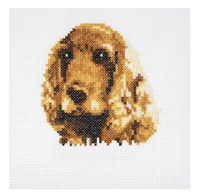 Cocker Spaniel Cross Stitch 