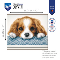 Cavalier king charles cross stitch