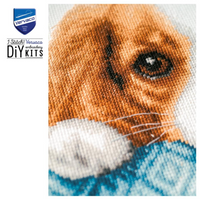 Cavalier cross stitch kit